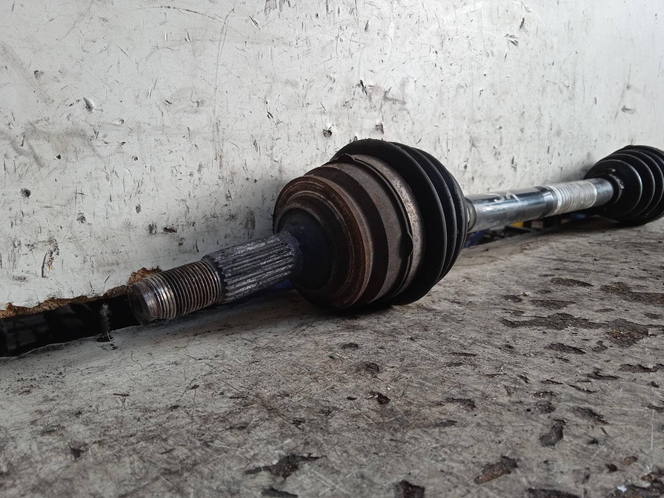 Semialbero ant. compl. sx.